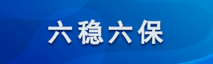 扎实做好“六稳”工作 全面落实“六保”任务