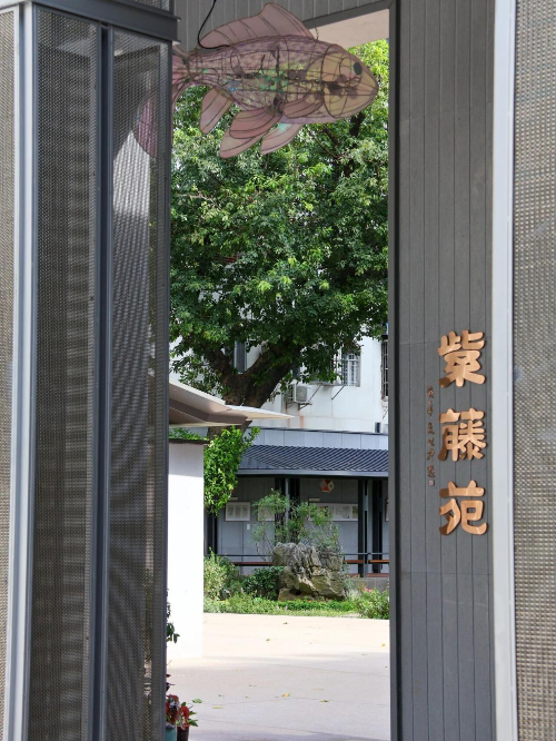 图片19.png