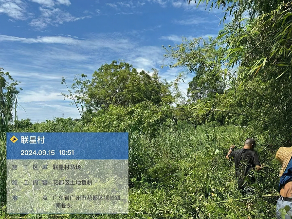 图1：狮岭镇联星村试点整治前照片389.png